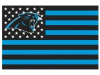 Carolina Panthers NFL American Flag 16in x 24in