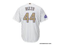 Men Autographed Chicago Cubs Anthony Rizzo Majestic White World Series Champions Gold Program Jersey with 2016 WS Champs Inscription