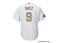 Men Autographed Chicago Cubs Javier Baez Majestic White World Series Champions Gold Program Jersey with 2016 WS Champs Inscription