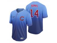 Men Chicago Cubs Ernie Banks Royal Fade Nike Jersey
