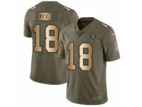 Men Nike Oakland Raiders #18 Connor Cook Limited Olive/Gold 2017 Salute to Service NFL Jersey