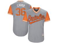 Men's Baltimore Orioles Caleb Joseph Cabob Majestic Gray 2017 Players Weekend Jersey