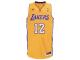 Dwight Howard Los Angeles Lakers adidas Youth Swingman Home Jersey - Gold