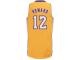 Dwight Howard Los Angeles Lakers adidas Youth Swingman Home Jersey - Gold